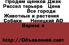 Продам щенков Джек Рассел терьера › Цена ­ 25 000 - Все города Животные и растения » Собаки   . Ненецкий АО,Варнек п.